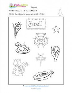 My Five Senses - Circle the Objects You Can Smell