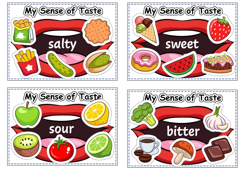 sense of taste for kindergarten