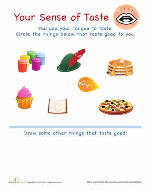 sense of taste for kindergarten