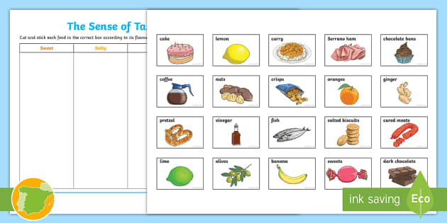 sense of taste for kindergarten