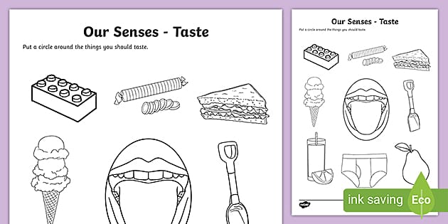 sense of taste worksheet