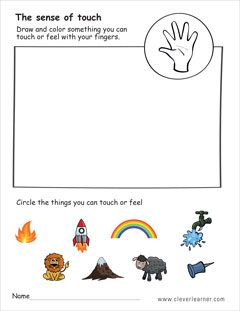 sense of touch for kindergarten
