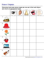 Sense Organs | Worksheets | 4th Chapter | EVS | AP Syllabus