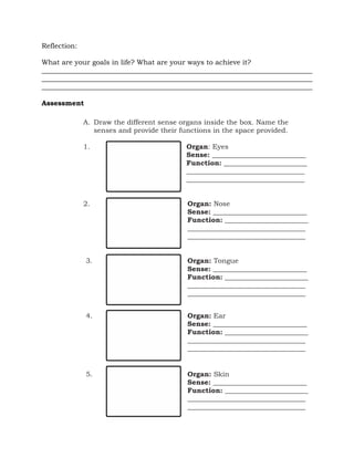 sense organ worksheet