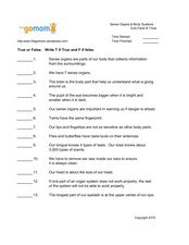 sense organs worksheet