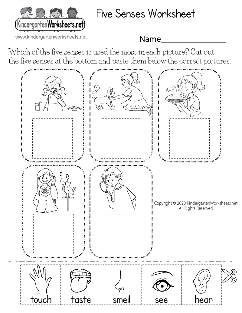 senses worksheet for kindergarten
