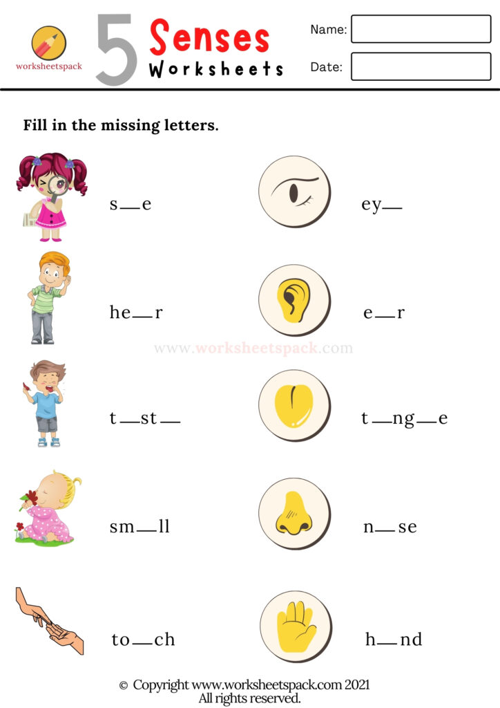 senses worksheet for kindergarten