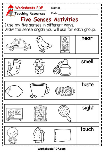 senses worksheet for kindergarten