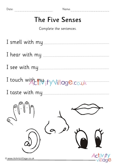 Five Senses Worksheet