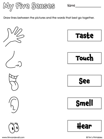 Five Senses Matching Worksheet - Tims Printables