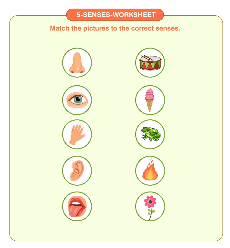 5 Senses Worksheet | Download Free Printables For Kids