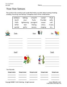 Your Five Senses Worksheet for 1st - 2nd Grade | Lesson Planet
