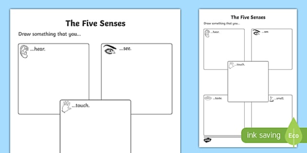 Drawing The Five Senses Worksheet - Teaching Resources