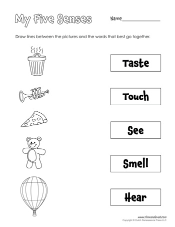 Five Senses Worksheets for Kids, plus 5 Senses Craft - Tims ...