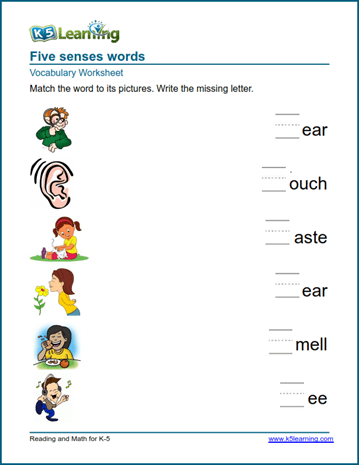 The five senses words worksheets | Worsheets library