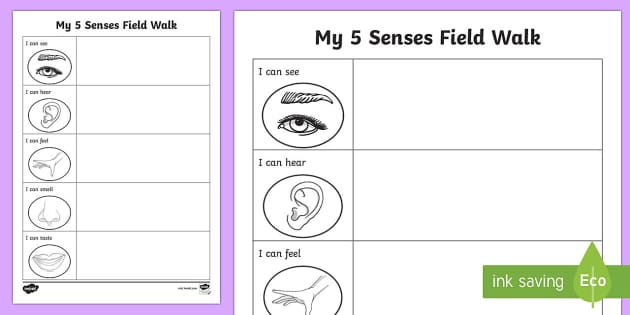 Exploring the Senses - Five Senses Field Walk Worksheet