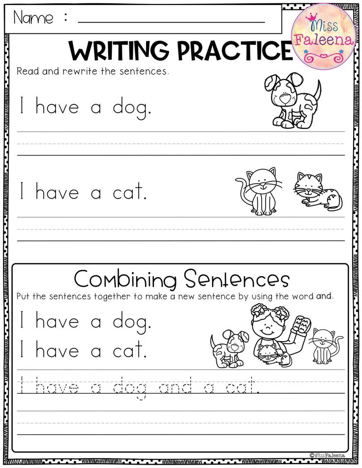 sentences writing worksheet