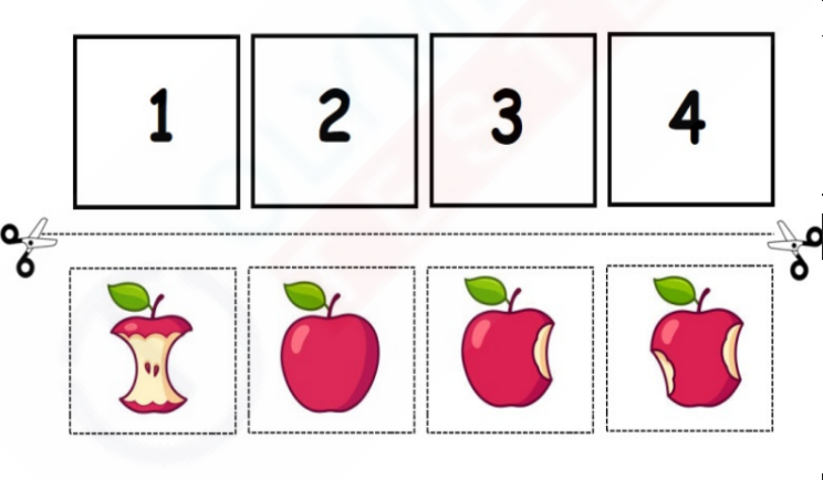 Free Kindergarten Sequencing worksheets | Olympiad tester