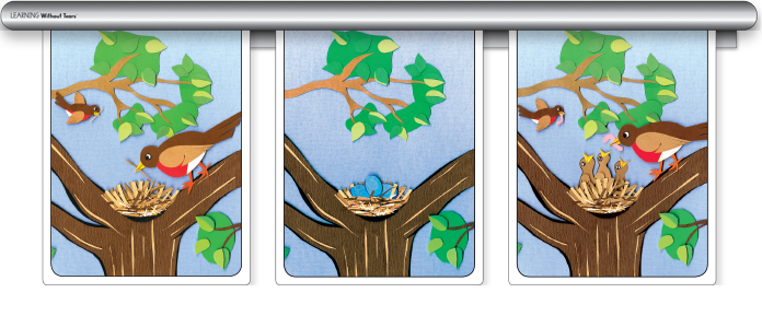 sequencing activities for kindergarten