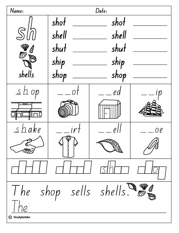 sh Phonics Worksheets - Differentiated Worksheet Pack