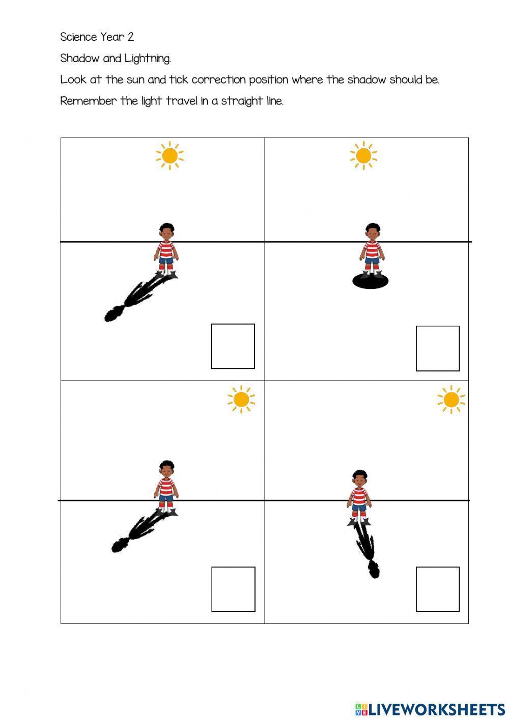 Light And Shadow Online Worksheet Live Worksheets Worksheets Library