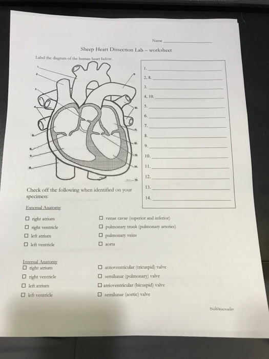 Solved Could someone please help me with this biology lab? | Chegg.com