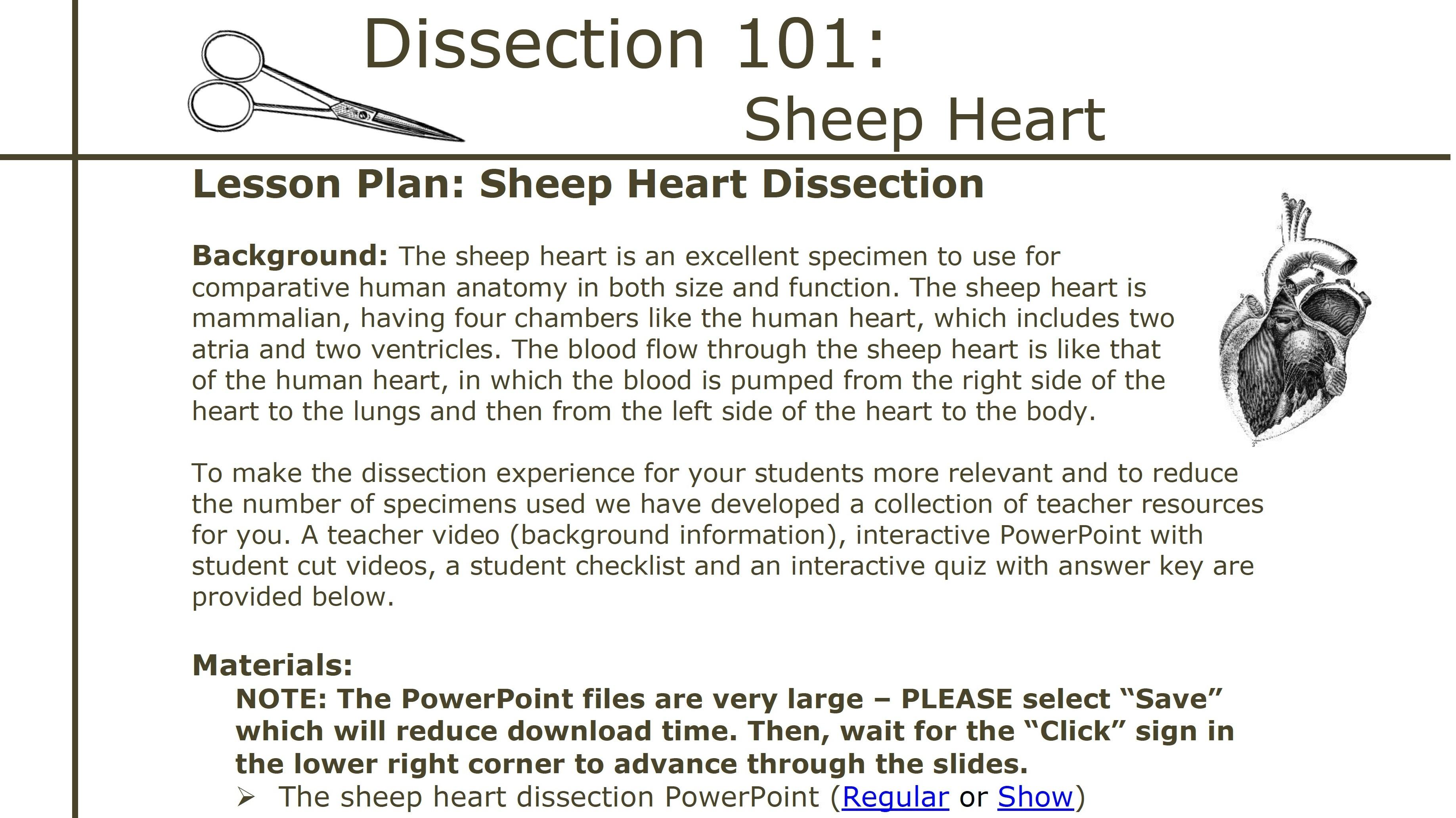 Dissection 101 | Sheep Heart Dissection: Lesson Plan | PBS ...