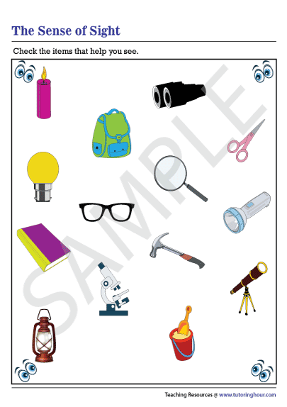 Sweet Sight Words Worksheet - GOES | Teach Starter