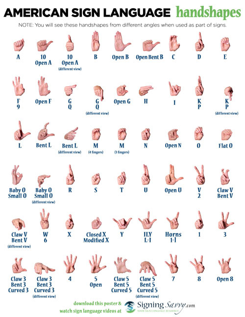 Handouts &  Printables
