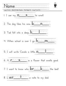 Long Vowels, Silent E Rule Practice Worksheet for 1st - 3rd Grade ...