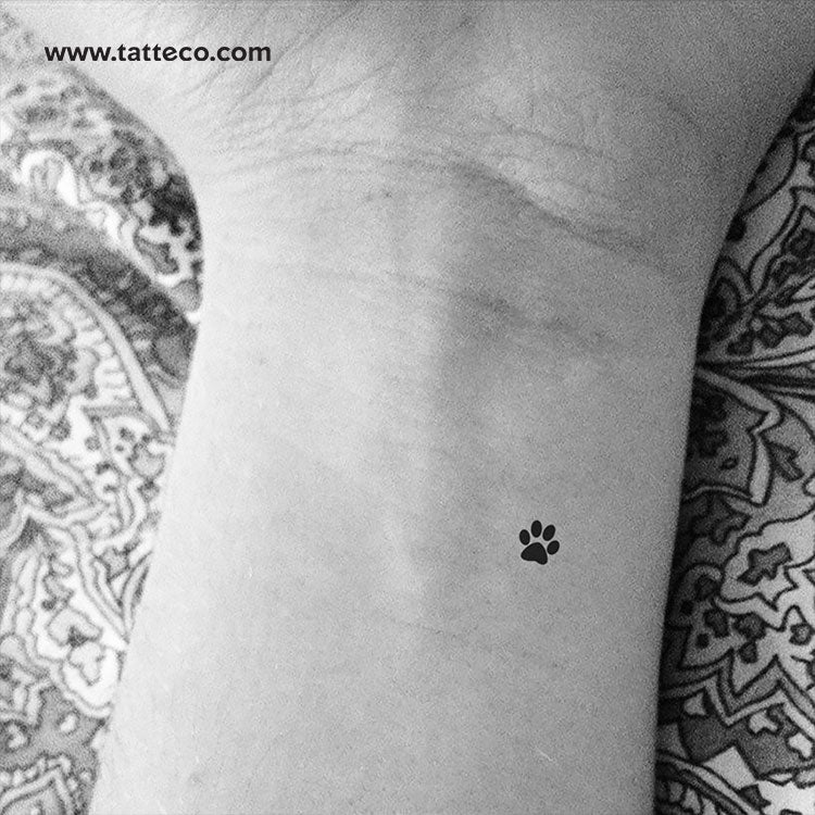 Small Paw Print Temporary Tattoo - Set of 3 - Tatteco