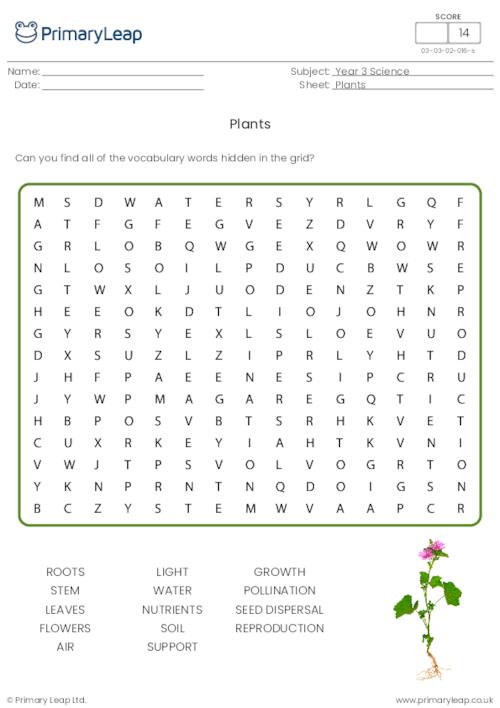 Year 3 Printable Resources &  Free Worksheets for Kids ...