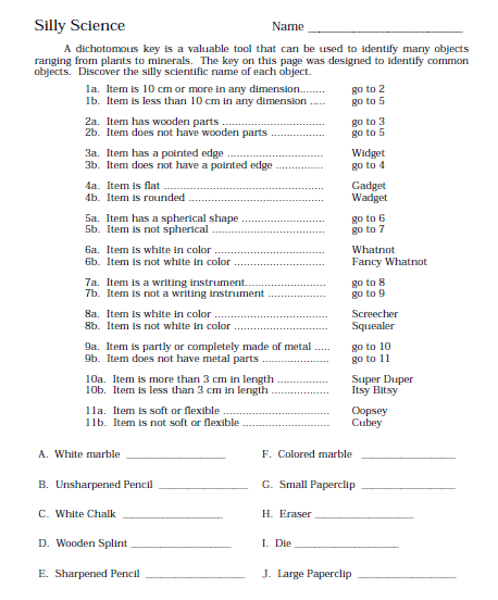 silly science worksheet answers