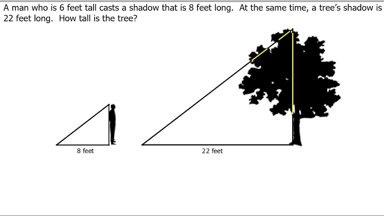 Day 05 HW - Solving Word Problems with Similar Triangles and Proportions