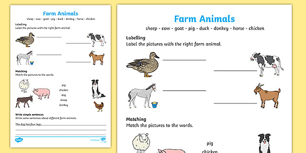 simple animals worksheet answers