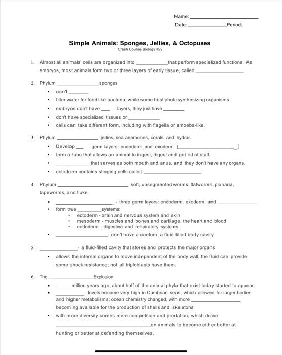 simple animals worksheet answers