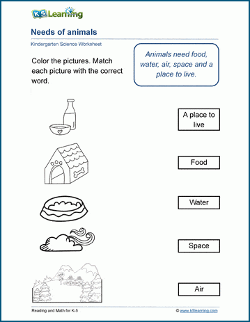 Needs of animals worksheets | Worsheets library