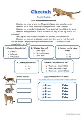 2,783 Animals English ESL worksheets pdf &  doc