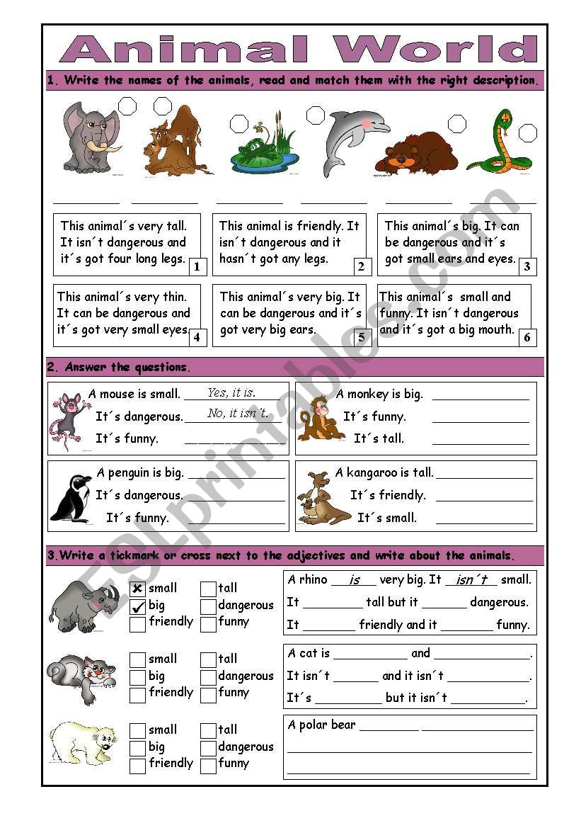 simple animals worksheet answers