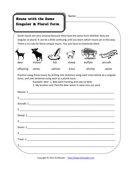 singular and plural nouns worksheet 2nd grade
