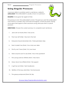 singular and plural pronoun worksheet