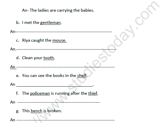 singular and plural worksheet for grade 3