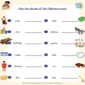 Singular Plural Give the plurals of the following nouns Worksheet 2.pdf