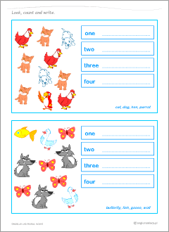 singular plural noun worksheet