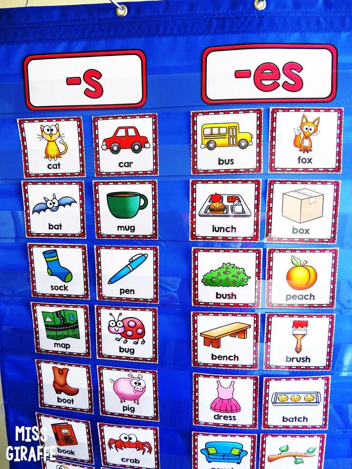 singular plural worksheet for kindergarten