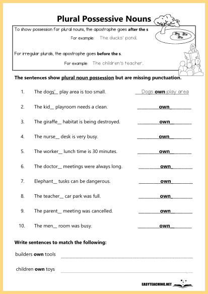 singular possessive nouns worksheet 2nd grade