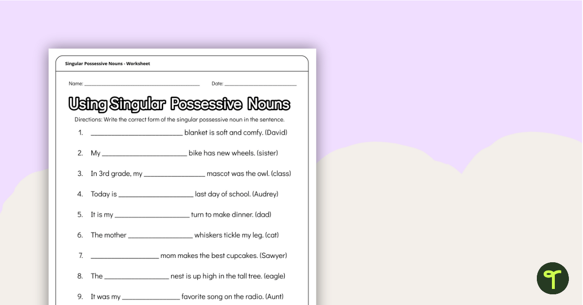 singular possessive nouns worksheet 3rd grade