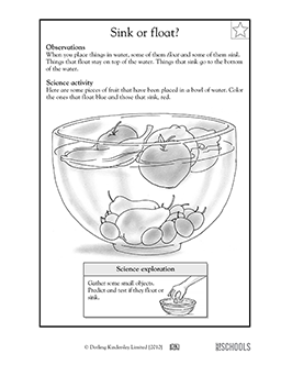 Sink or float? | 1st grade, 2nd grade, Kindergarten Science ...