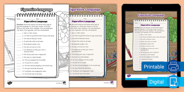 Sixth Grade Figurative Language Activity (teacher made)