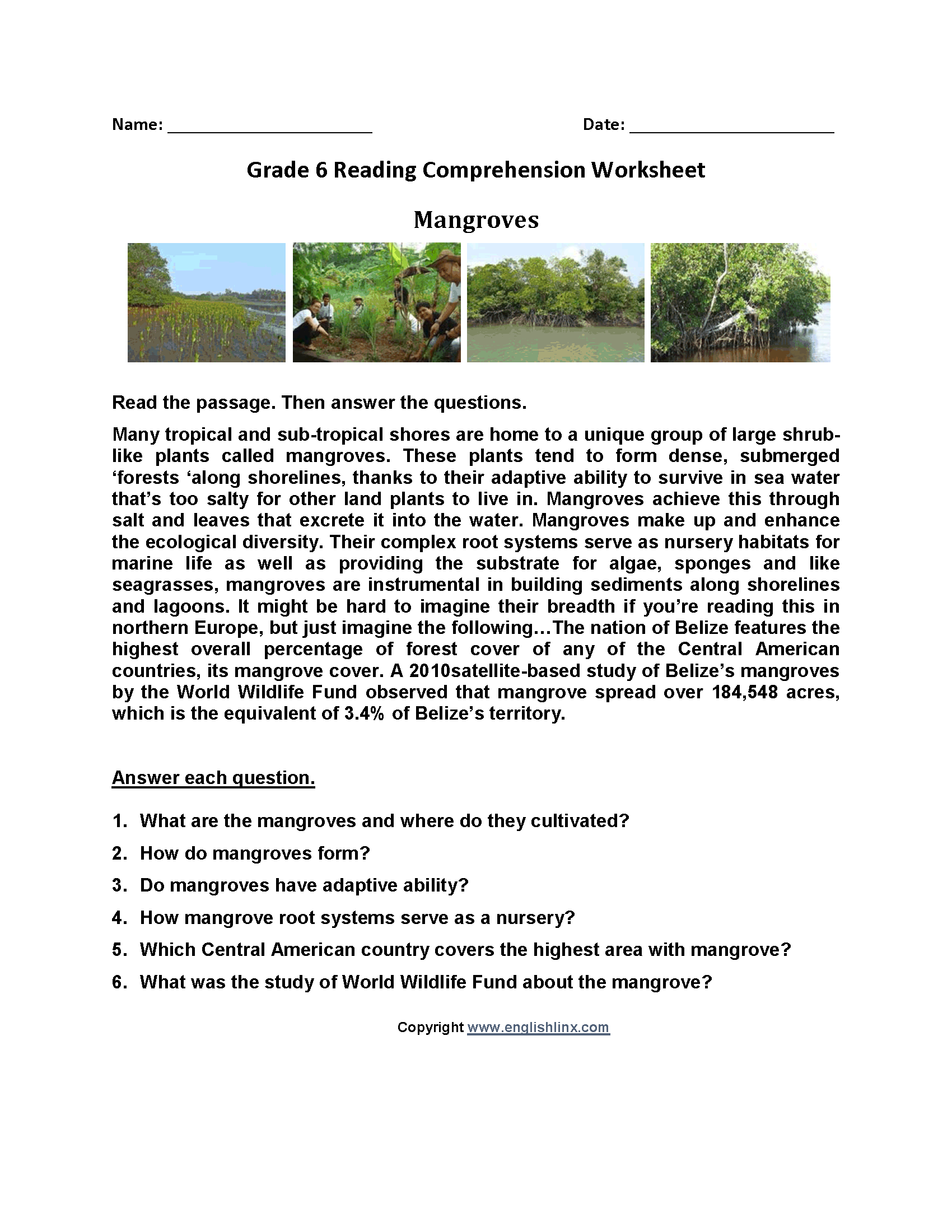 sixth grade reading comprehension worksheet